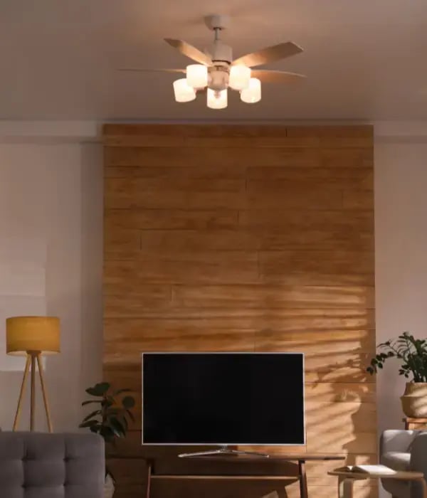 Lights Flicking in home